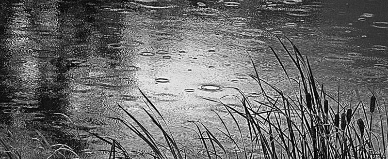 BlackAndWhite_Rain_on_Wrights_Creek
