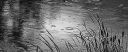 BlackAndWhite_Rain_on_Wrights_Creek.jpg