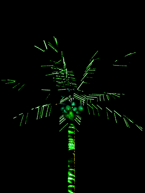 Green-Electric_Palm_Tree
