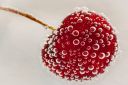 Bubbles-Cherry.jpg