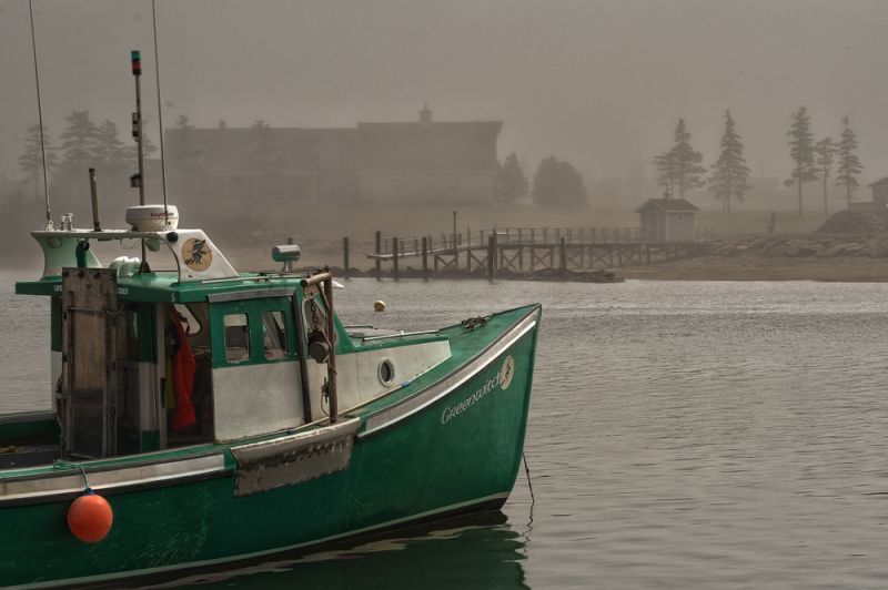 PhotographersChoice_The_Witch_of_Malpeque
