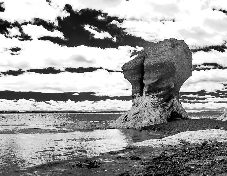 AnythingGoes_Hopewell_Rocks_in_Infrared
