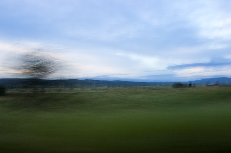 ICM_TreeBlur
