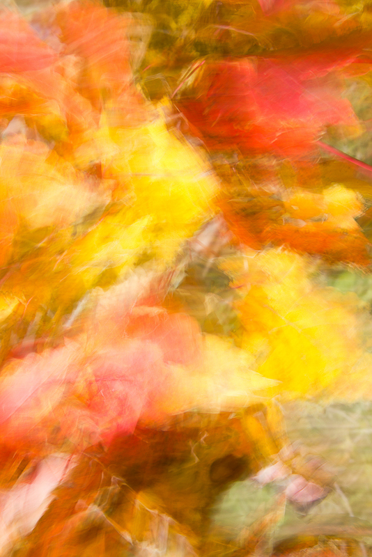 ICM_eMotional_Colours
