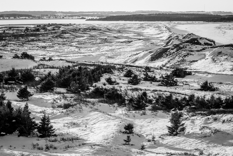 Nature_DunesOfCavendishBeach
