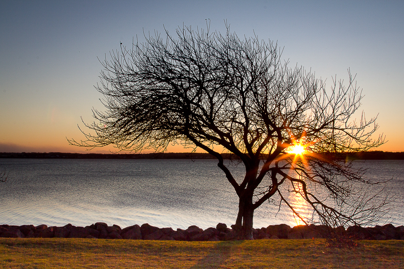 Silhouettes_Breaking_Through
