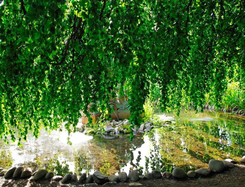 Green-Leafy_Curtain
