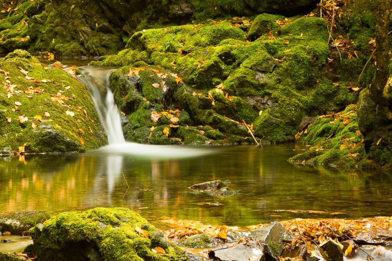 Green-Pool_of_Reflection
