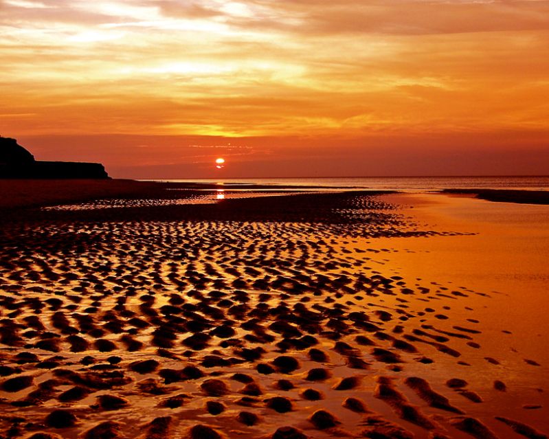 Nature-Sand_Waves
