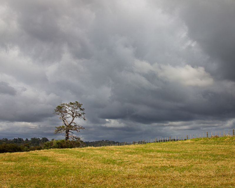 Nature-Storm_Front
