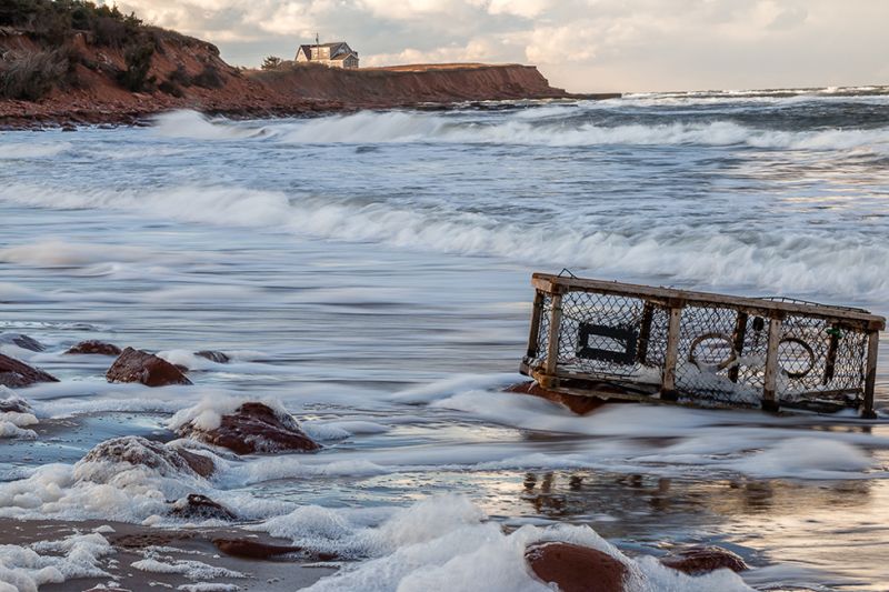 PhotographersChoice-Reflections_of_Time
