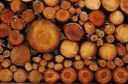 HiddenLetters-wOOdpile.jpg