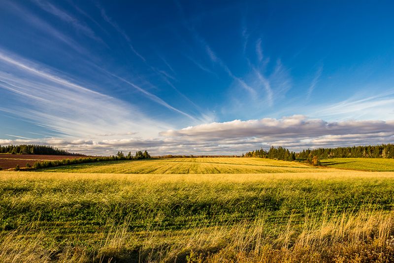 Farming-Fall_Fields
