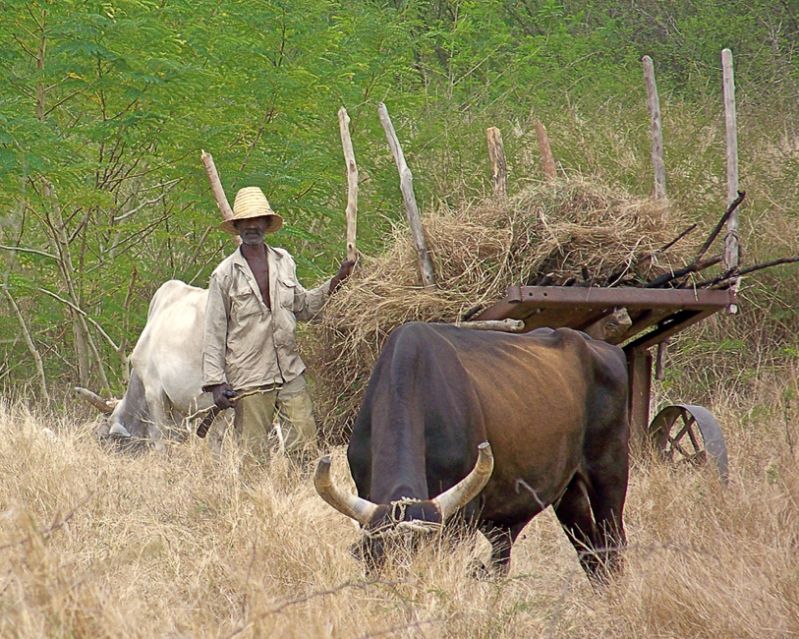 Farming-The_Russians_Left
