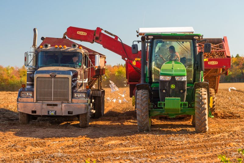 Farming-_Digging_Spuds
