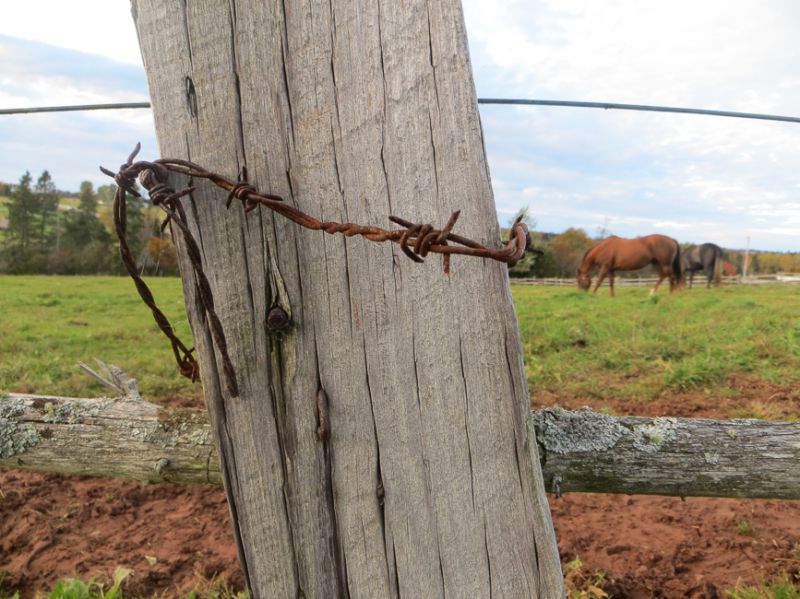 Farming-_Rusting_And_Rotting
