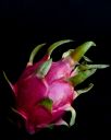 Pink-DragonFruit.jpg