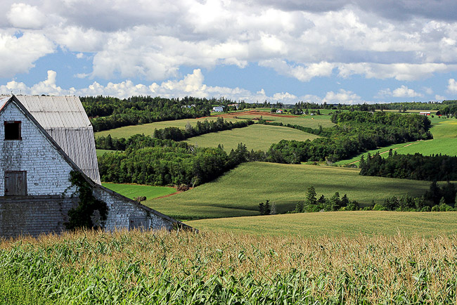 Nature_Greenfields
